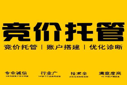 某某sem推广公司助力某科技企业实现产品推广突破